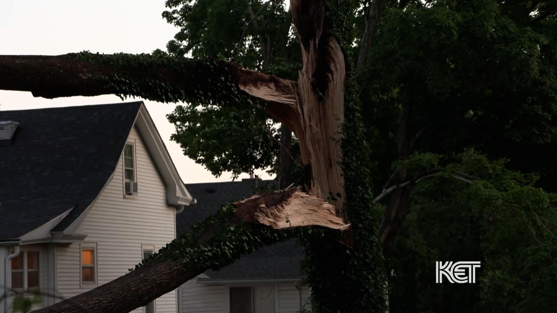 Cleaning Up Storm Damage