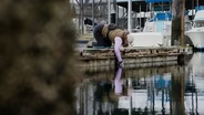 New Hobby Explores the Hidden Worlds under Everyday Docks