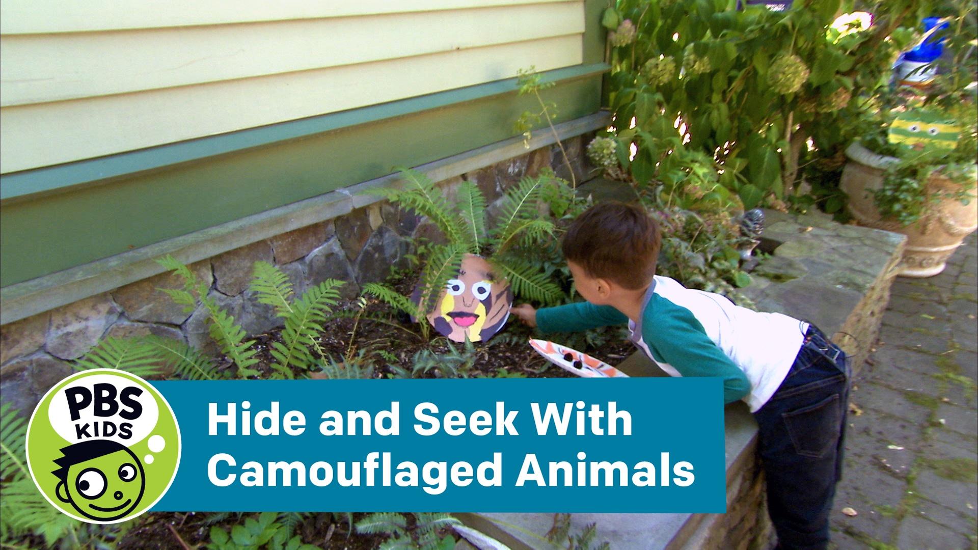 Hide & Seek Activity For Kids