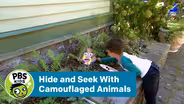Hide and Seek With Camouflaged Animals