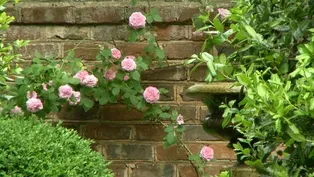 Garden Spaces and Pathways