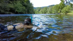 Blue Ridge Snorkel Trail