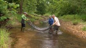 Video thumbnail: Living St. Louis Checking the Health of LaBarque Creek