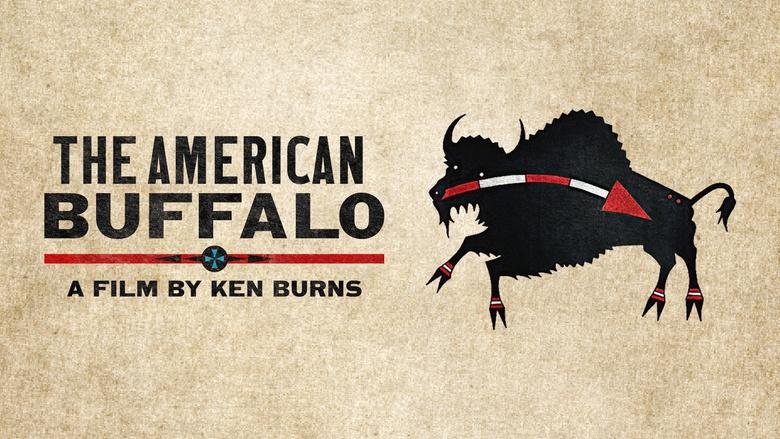 The American Buffalo Image