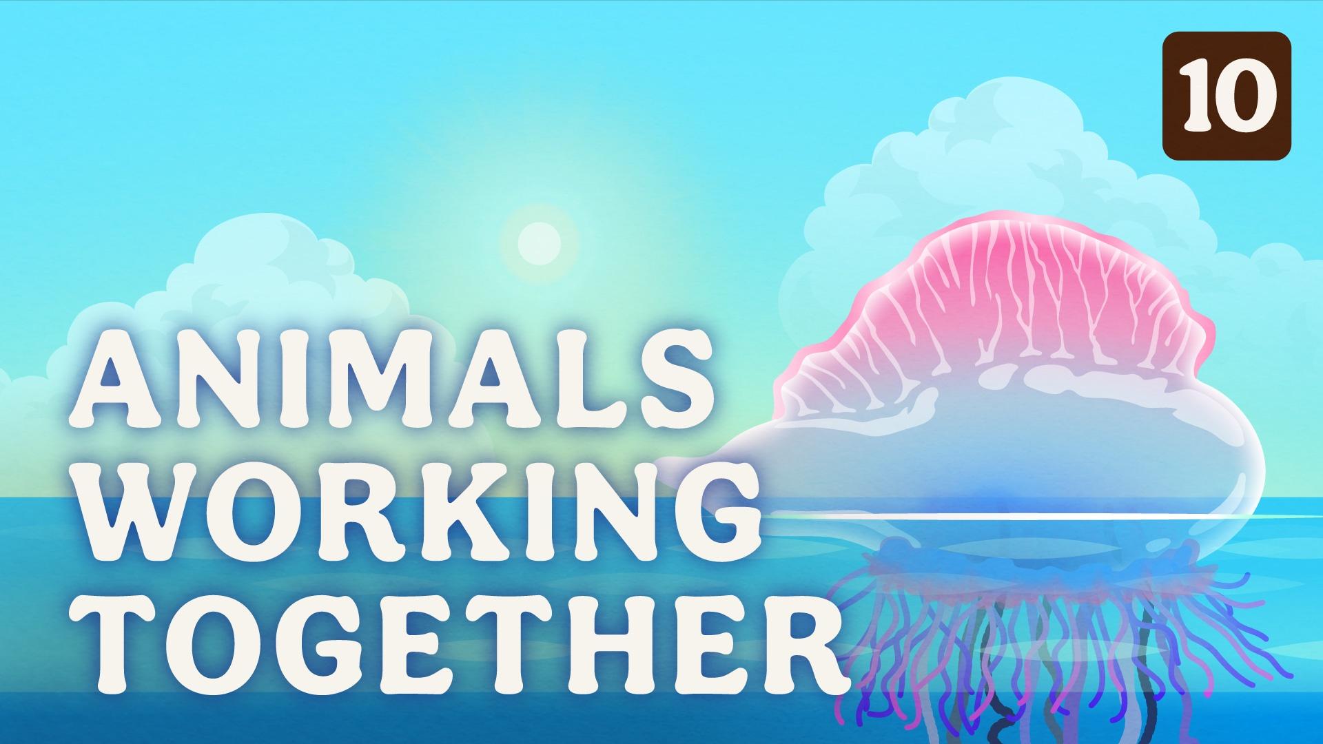 Crash Course Zoology | Animals Working Together | Episode 10 | PBS