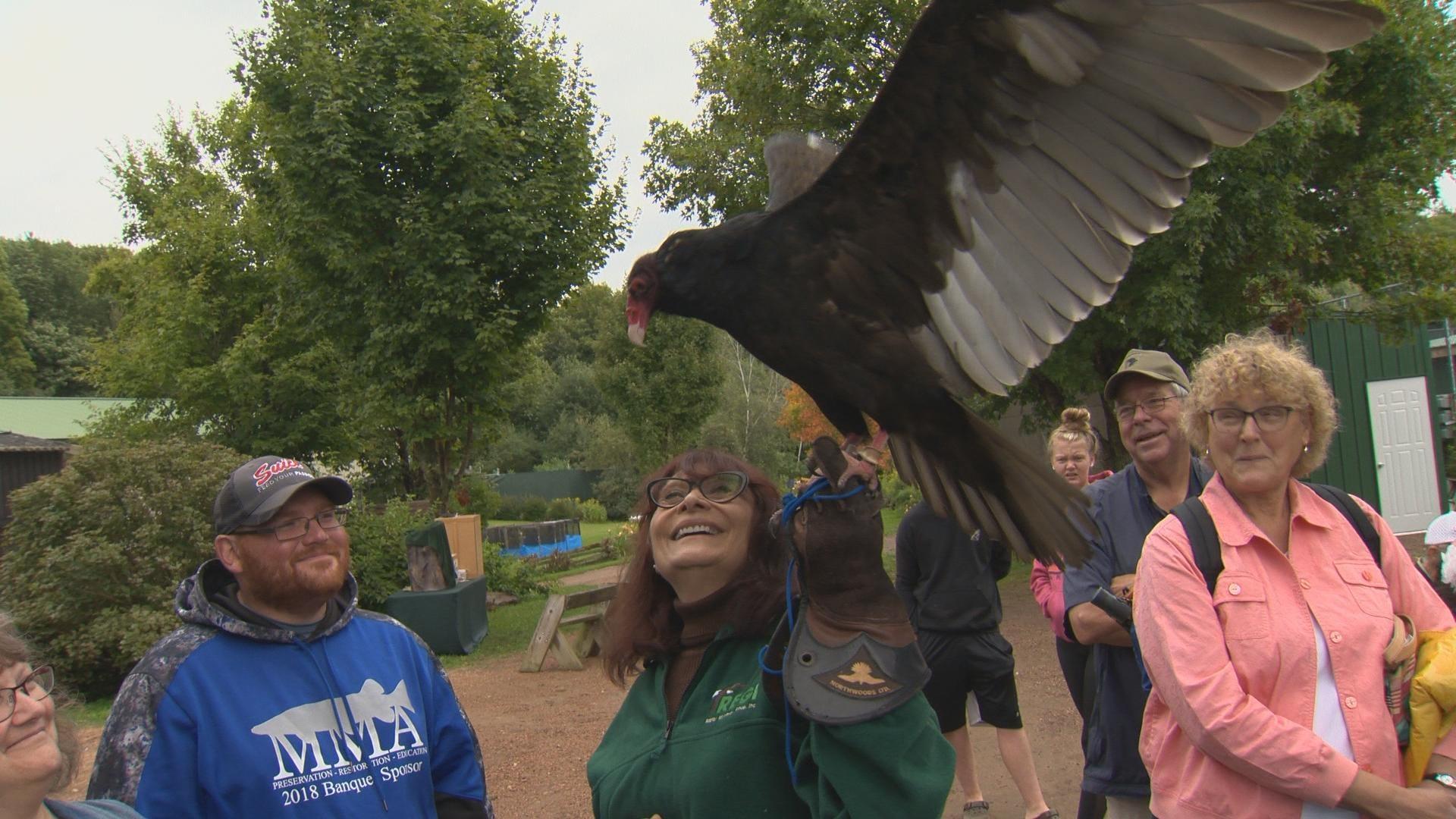 Raptor Education Group