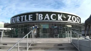 Why are neighbors trying to halt Turtle Back Zoo expansion?