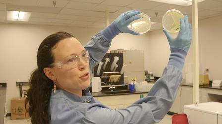 Video thumbnail: SCI NC Killing Superbugs
