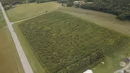 Corn Maze