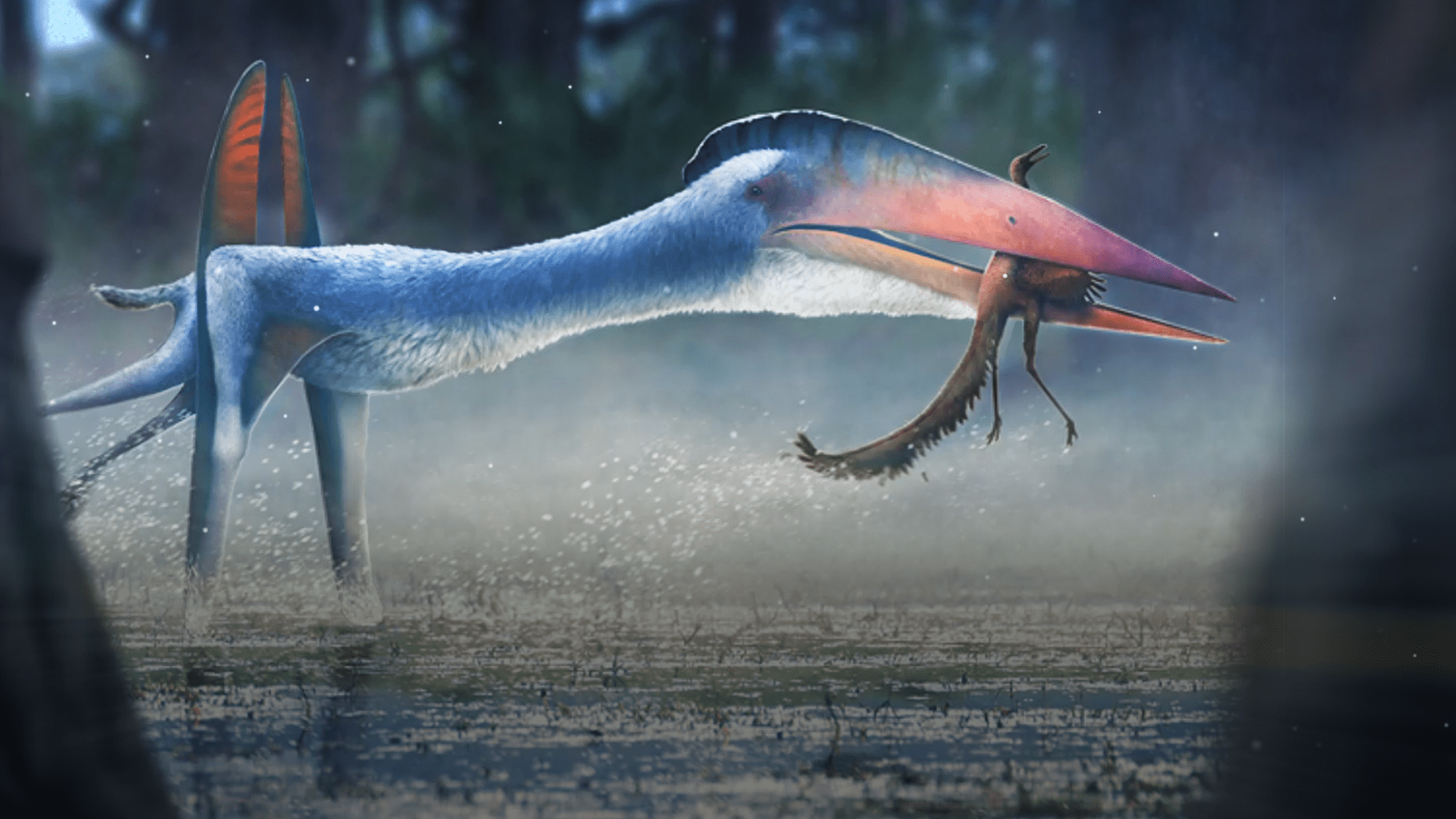 Mini pterosaur from the age of flying giants