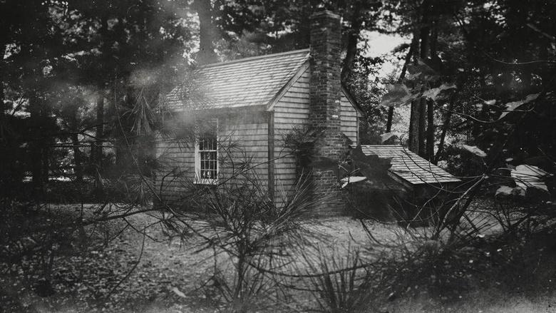 Henry David Thoreau Image