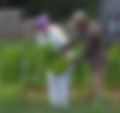 Maryland Farm & Harvest