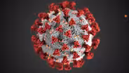 "Coronavirus Pandemic" - Preview