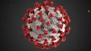 "Coronavirus Pandemic" - Preview