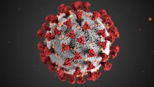 "Coronavirus Pandemic" - Preview