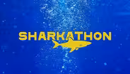 Preview | Sharks!