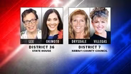State House District 36 / Hawaiʻi County Council District 7