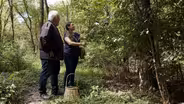 From Forest to Table