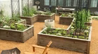 Volunteer Gardener 3407