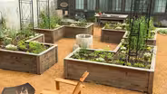 Volunteer Gardener 3407