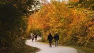 Michigan's Fall Colors