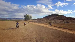 Wine Valley Ride and Moroxican Food