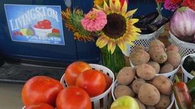 Livingston Farms and Jan Smith's Garden: asset-mezzanine-16x9