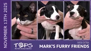 11/13/2025 | Pickles, Hayden and Jexa | Mark's Furry Friends Extra