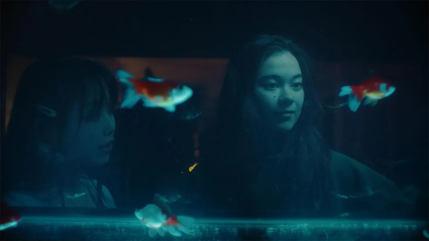 Lucky Fish