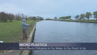 Great Lakes Pollution Puts Plastic in All of Us