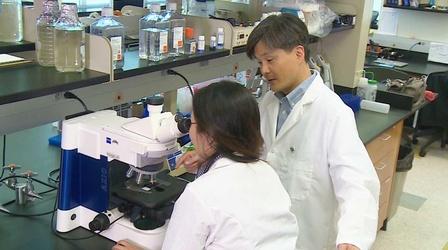 Video thumbnail: KLRN SciTech Now Aug. 11, 2017 | Helping brains recover from Alzheimer’s