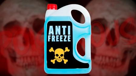 Video thumbnail: Reactions Time to Strike Antifreeze Off Your List of Usable Poisons