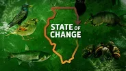 State of Change - November 2024