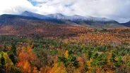 Why New England?