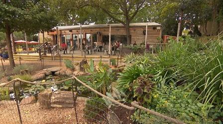 Video thumbnail: Central Texas Gardener Waterfalls, Wildlife, and Drinks: Cosmic Coffee + Beer