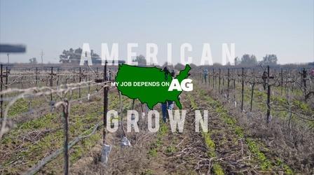 Video thumbnail: American Grown: My Job Depends on Ag American Grown: My Job Depends on Ag | McFFArland, USA