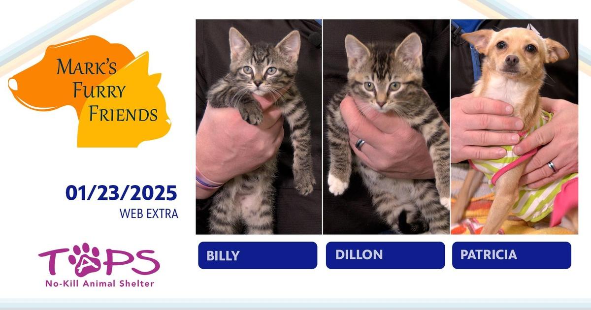 Mark’s Furry Friends | 01/23/2025 | Billy, Dillon and Patricia | Mark’s ...