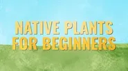 Native Plants for Beginners