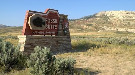 Video thumbnail: Our Wyoming Fossil Butte