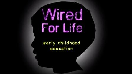 Video thumbnail: WHRO Documentaries Wired for Life: Early Childhood Education
