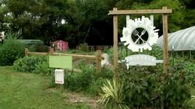 Video thumbnail: Virginia Home Grown Peggy Singlemann visits RVA’s Urban Farm