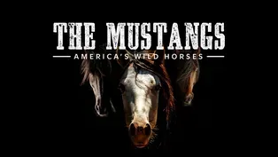 The Mustangs: America's Wild Horses