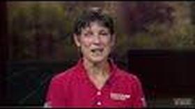 Video thumbnail: Backyard Farmer Backyard Farmer: Digging Deeper: Conservation Planting