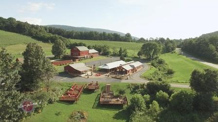 Video thumbnail: Un-Wine'd Valley Road Vineyards