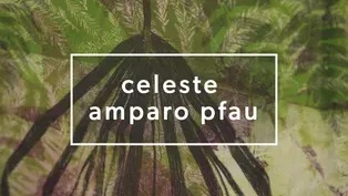 Celeste Amparo Pfau
