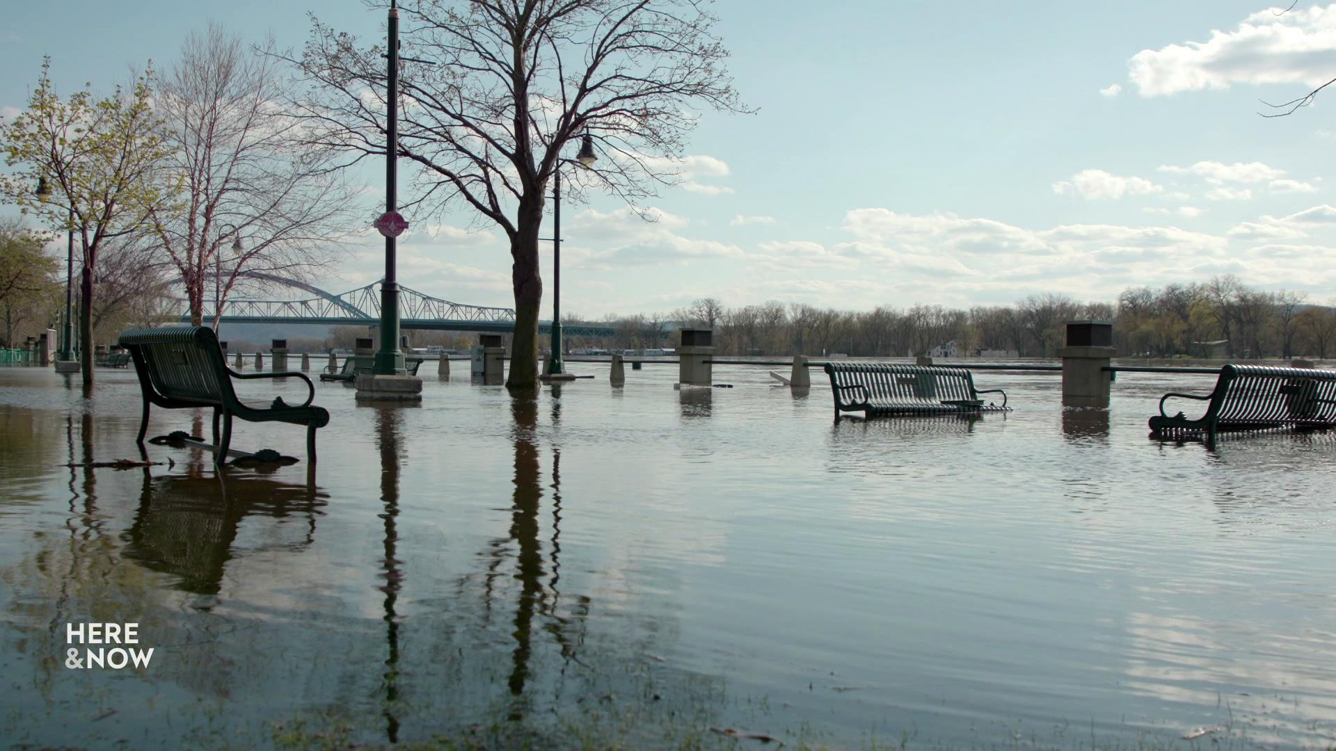 A still image from a video shows a flooded park with benches and trees partially underwater.