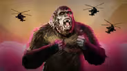 King Kong pt. 2