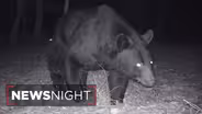 Presidential visit, private space plans and bear safety