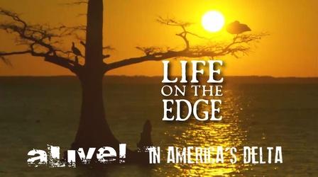 Video thumbnail: Alive! In America's Delta Life on the Edge