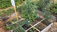 You Bet Your Garden Ep: 39